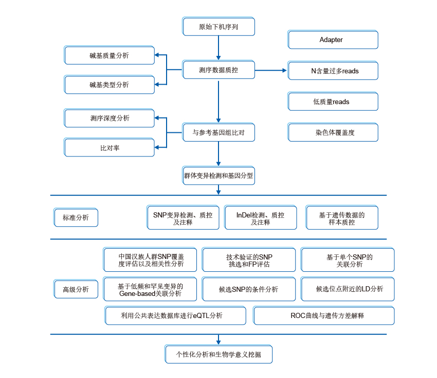 全基因组重测序 全基因组重测序