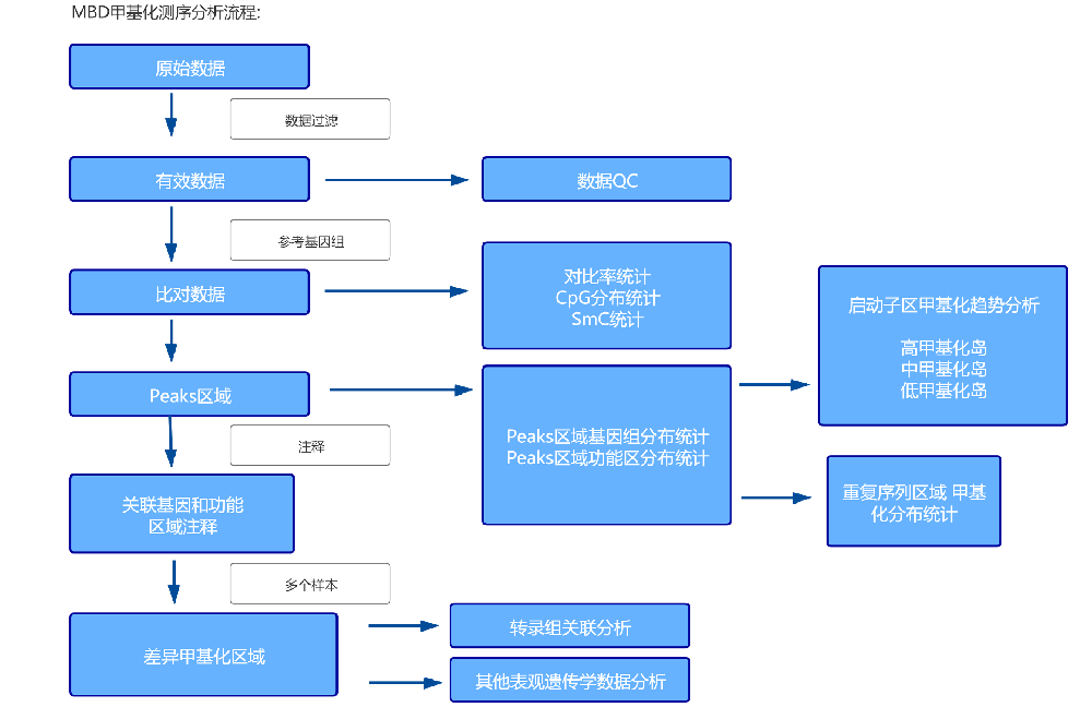 生物信息学研究服务 生物信息学研究服务