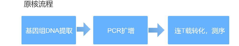 基因提取 基因提取