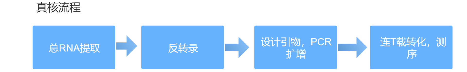 基因提取 基因提取
