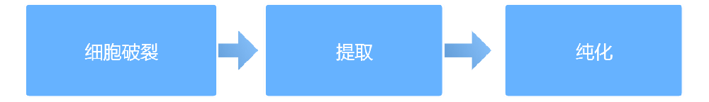 核酸提取 核酸提取