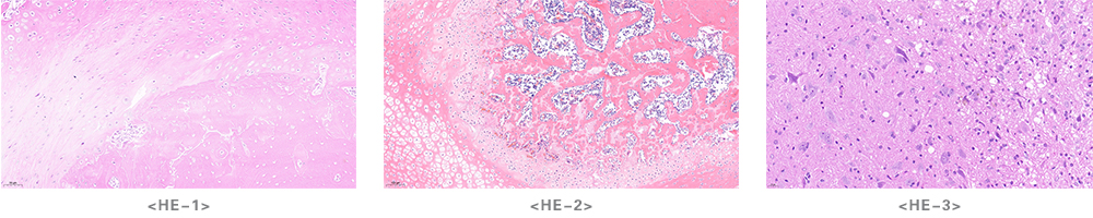 ec3bef94c1e3bceaa6c2a7df6bab6e74_1716288039320822.jpg ec3bef94c1e3bceaa6c2a7df6bab6e74_1716288039320822.jpg