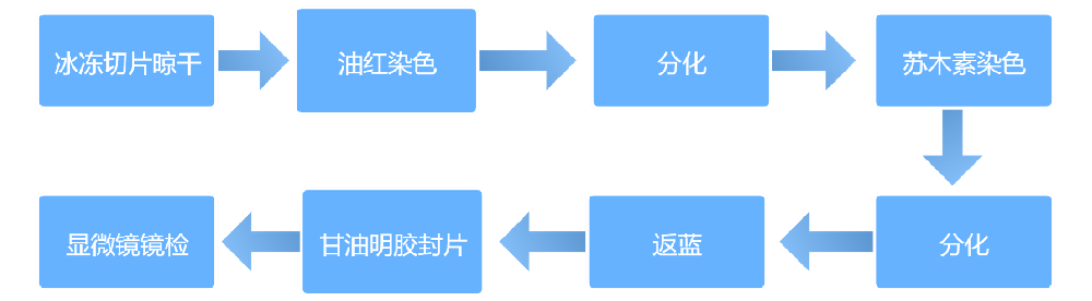 646076d88212b2fa41a7e659fb2adc33_1716287928636835.png 646076d88212b2fa41a7e659fb2adc33_1716287928636835.png