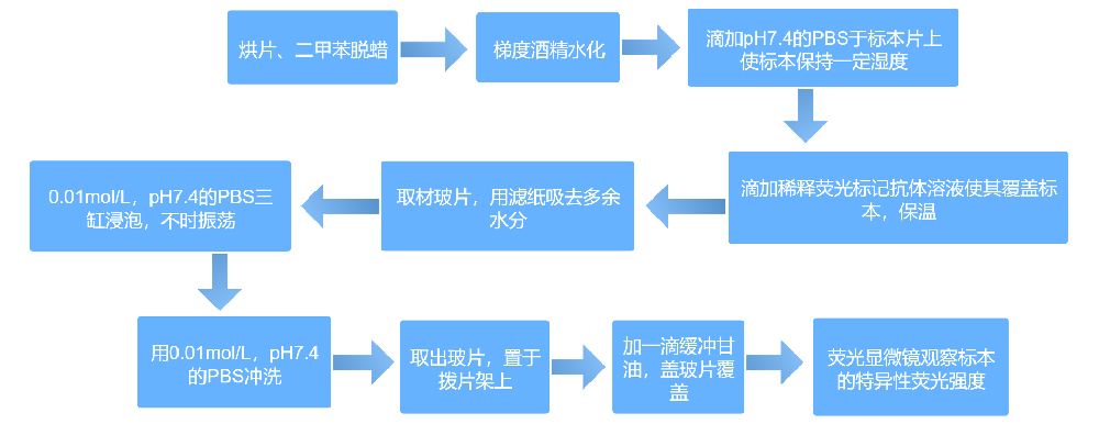 07beaea716963324b99f1b5963f22042_1716287844199413.png 07beaea716963324b99f1b5963f22042_1716287844199413.png